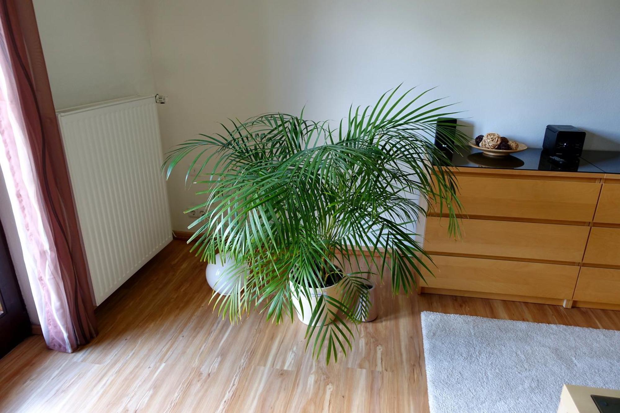 Ferienwohnung Ariane جارمش بارتنكيرشن المظهر الخارجي الصورة
